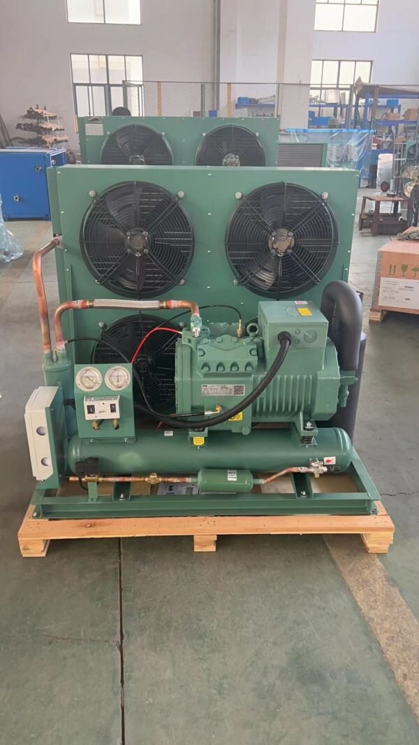 Bitzer condensing unit1