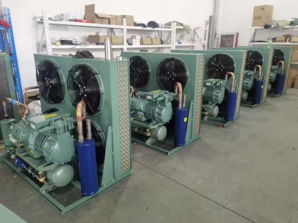 Bitzer condensing unit2