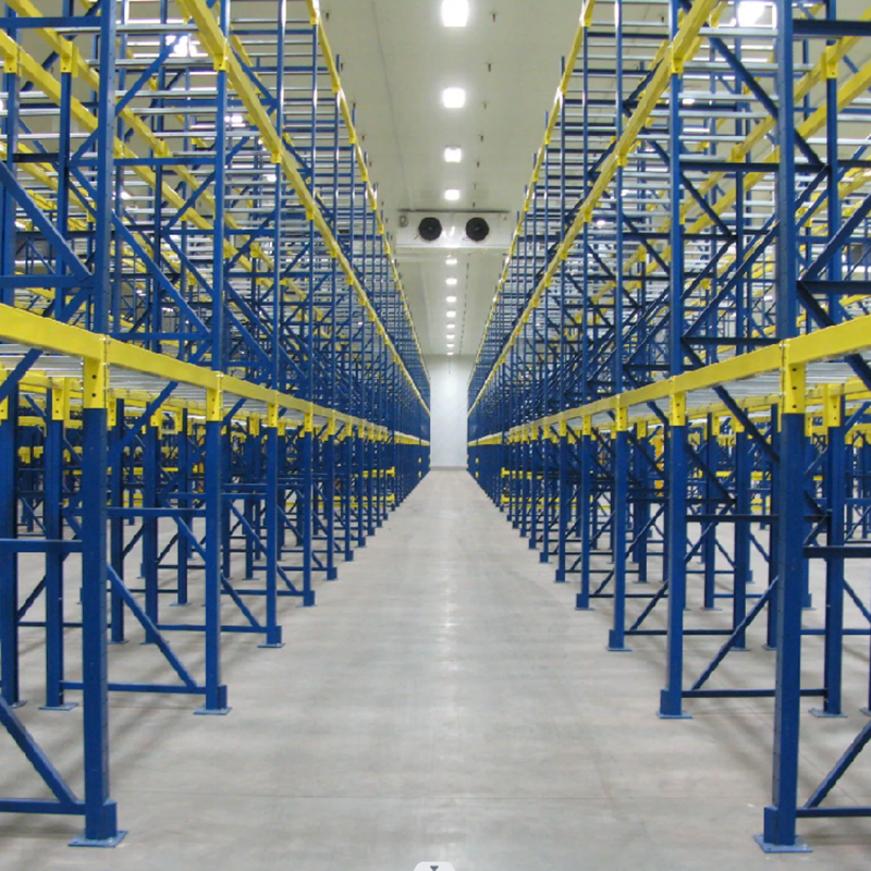 Freezer room for frozen food-fish, chicken and meat