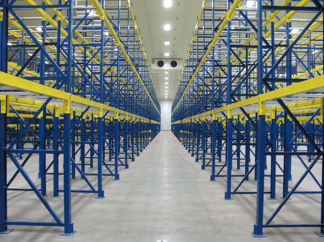 Freezer room for frozen food-fish 1