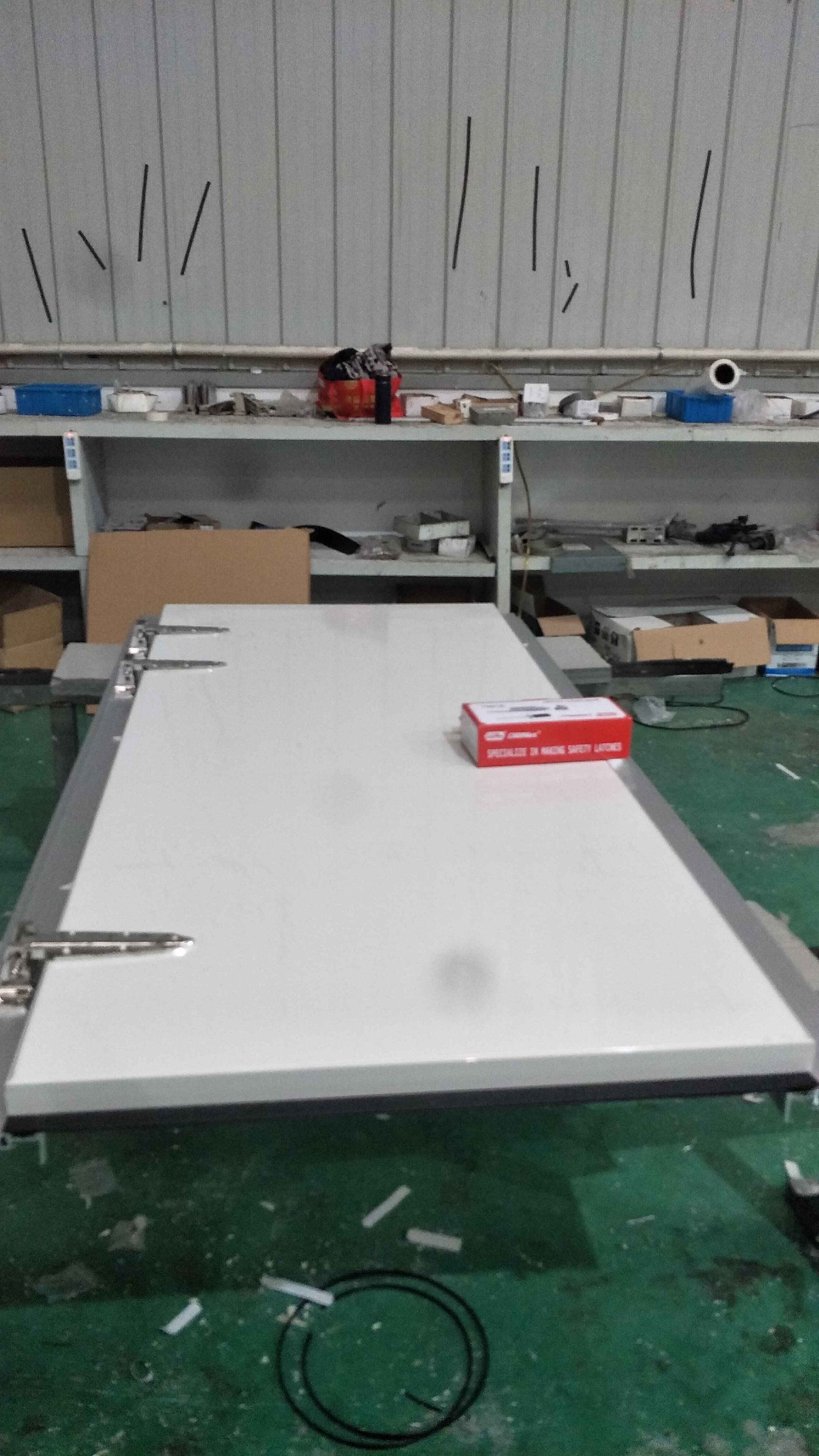 Cold storage room swing door in Australia 1